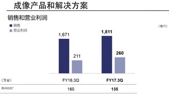 企業財務報告與互聯網數據中心 199it軟件外包服務的發展趨勢