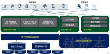 數(shù)字文化創(chuàng)意軟件開發(fā) 中國零售業(yè)數(shù)字化轉(zhuǎn)型的核心引擎與品類分析